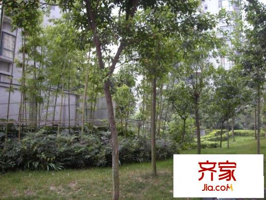 大觀城市花園外景圖