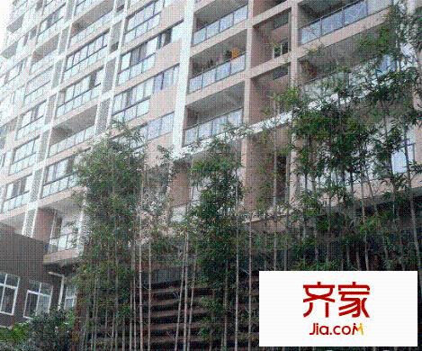 楠貴坊外景圖