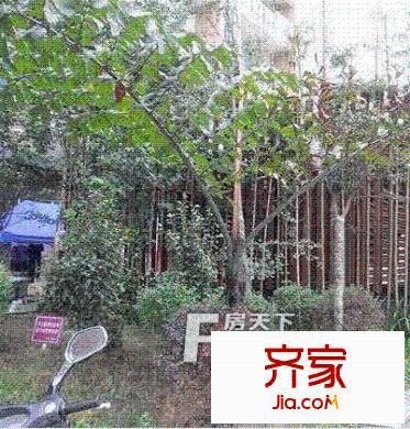 楠貴坊外景圖