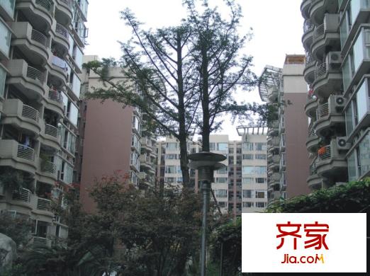 錦宏駿苑外景圖