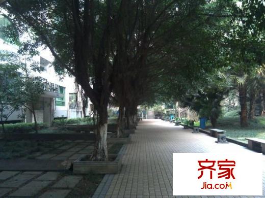 芳草地外景圖