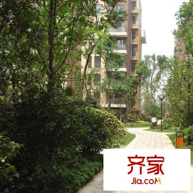 新界外景圖