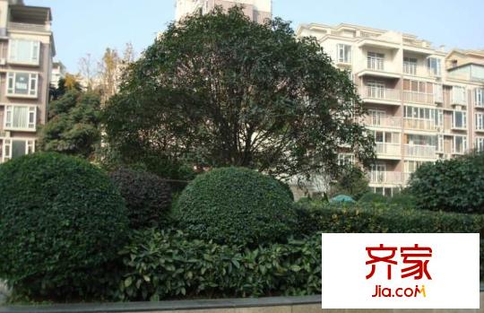 塞納河畔外景圖