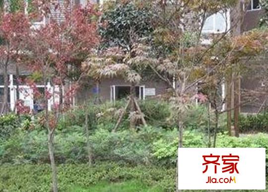 八里陽光外景圖