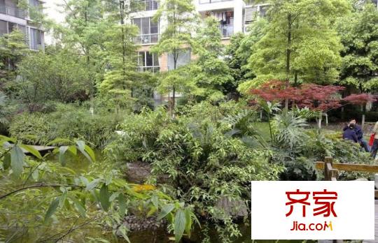 陽光金沙外景圖