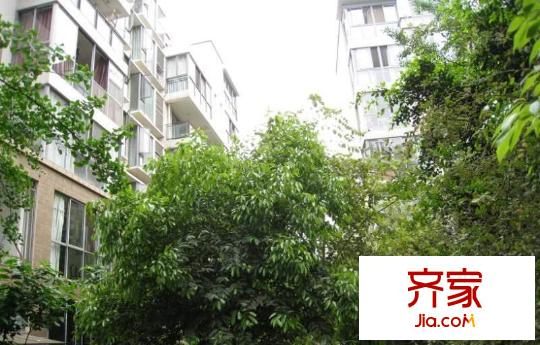 陽光金沙外景圖