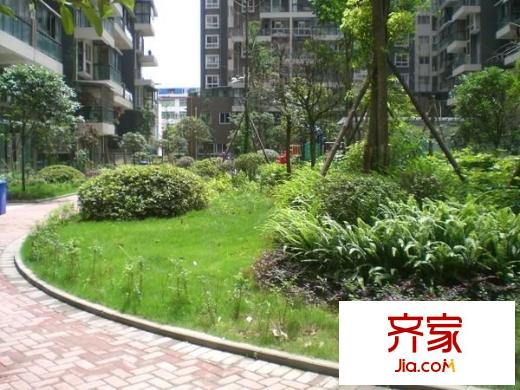 南橋春天外景圖