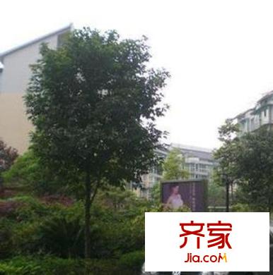 沙河新城外景圖