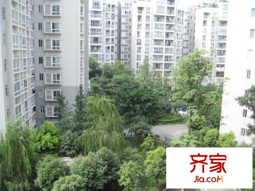 泰基花語廊外景圖