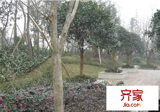 嘉美地外景圖