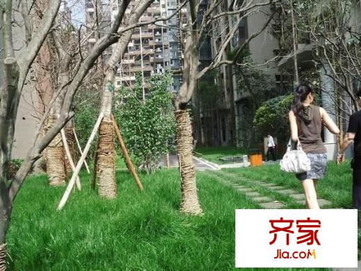 藍光富麗碧蔓汀外景圖