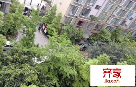 陽光金沙外景圖