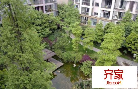 陽光金沙外景圖