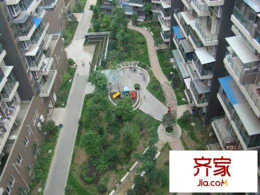 南橋春天