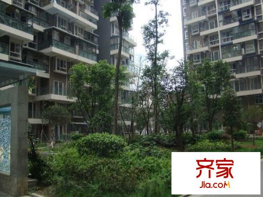 南橋春天外景圖