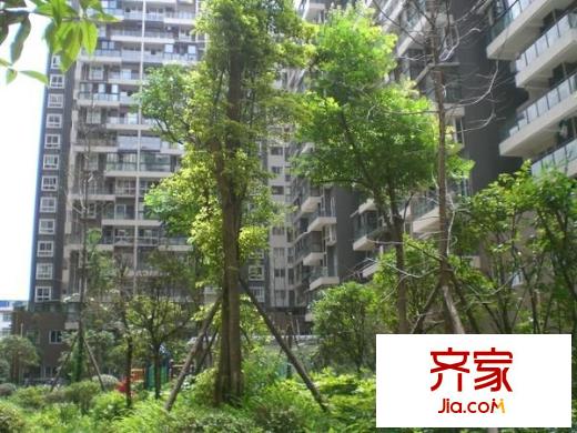南橋春天外景圖