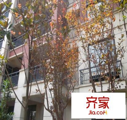 新里柏仕公館外景圖