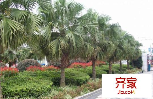 香格里拉花園外景圖
