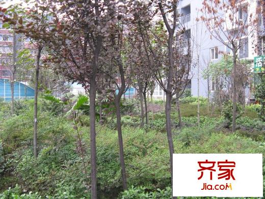 狀元府邸外景圖