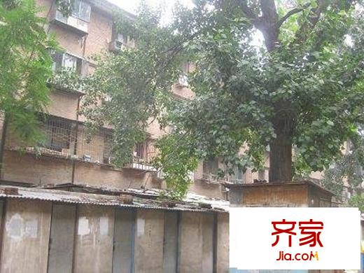 垂杨柳东里外景图