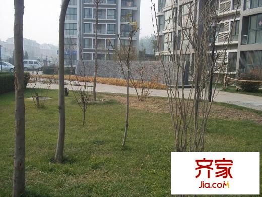 晶彩亦庄外景图