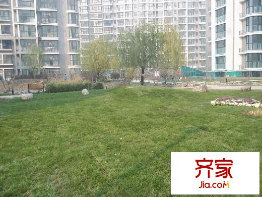 晶彩亦庄外景图