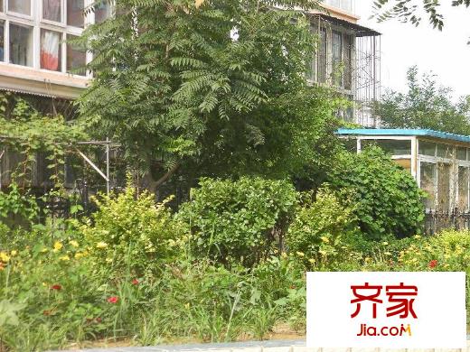 潞潮佳苑外景图小区绿化