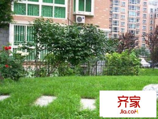 运河家园外景图实景图