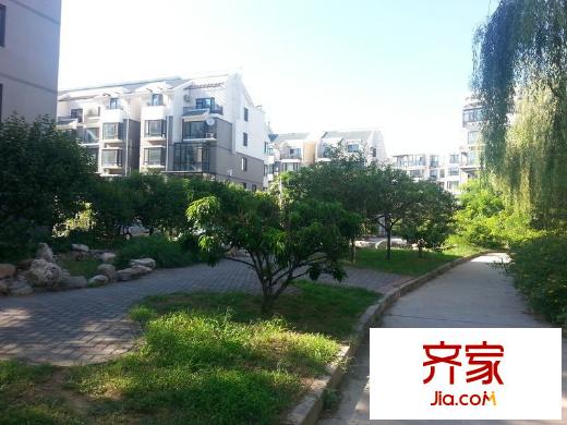 桃花岛外景图