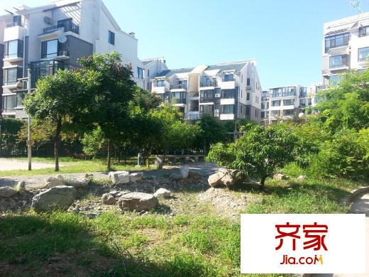 桃花岛外景图