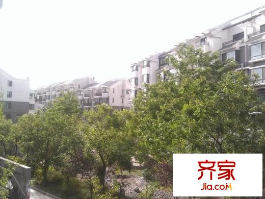 桃花岛外景图