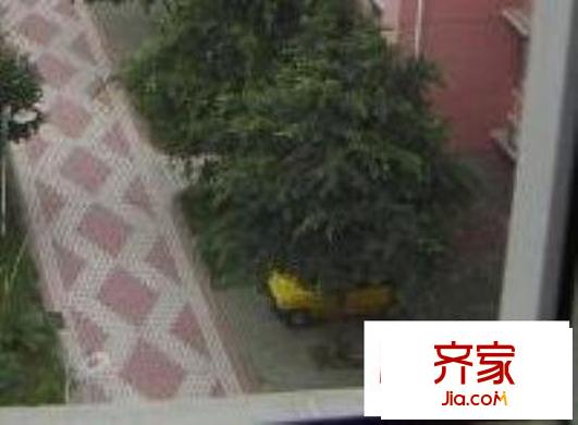 现代花园外景图绿化