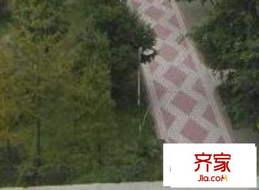 现代花园外景图绿化
