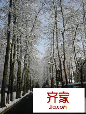 怡景溪园实景图园林201203