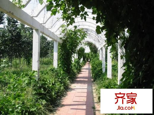 朝阳旺角外景图