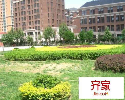 中灿苑外景图绿化