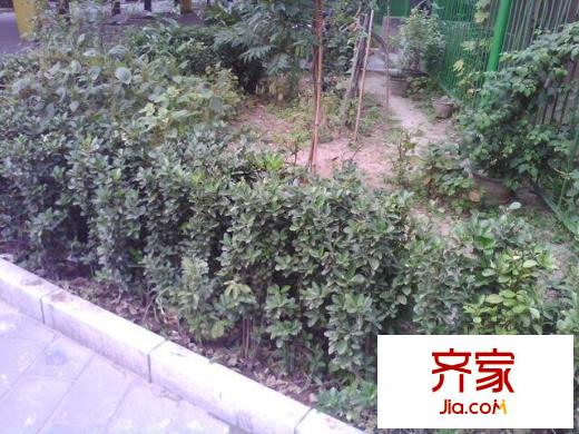 北京气象局宿舍外景图实景图