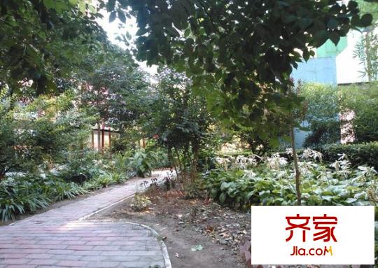 阳光100国际公寓外景图