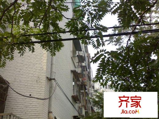 体育馆西路外景图楼座图