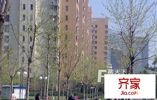 西坝河北里外景图