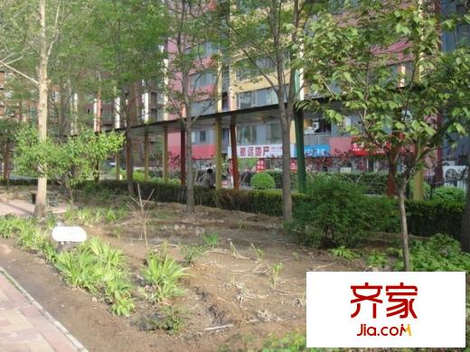 阳光100国际公寓外景图