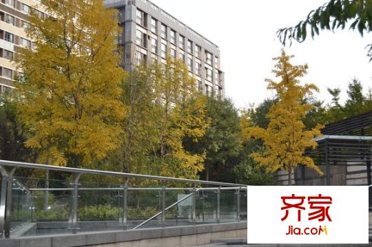 金地名京外景图