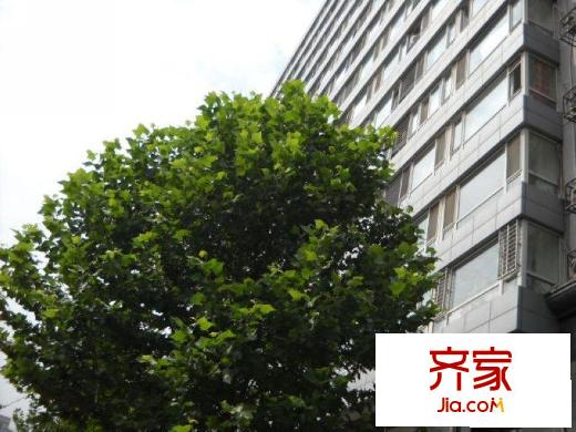 海澜东苑外景图楼盘图