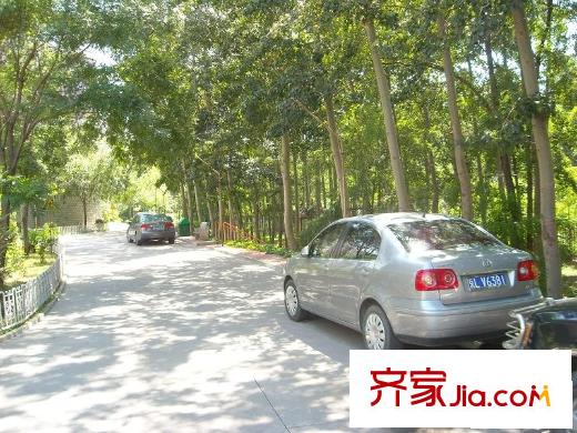 运河园配套图街道