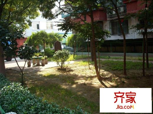 望京路3号院外景图绿化