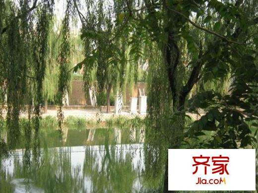 胡家园小区外景图