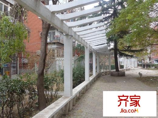 枣营南里外景图