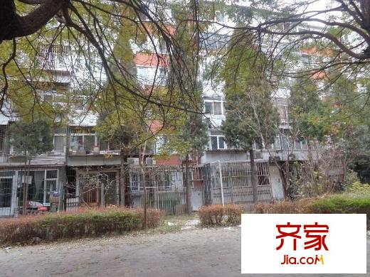 枣营南里外景图