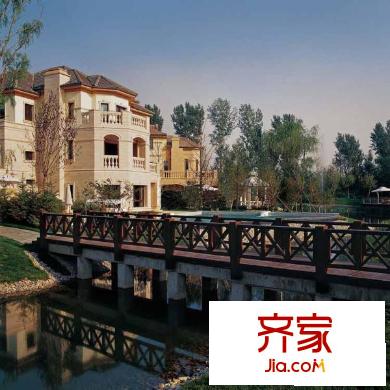 蓝岸丽舍实景图园林小桥2010.2