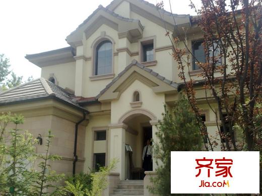 蓝岸丽舍外景图独栋